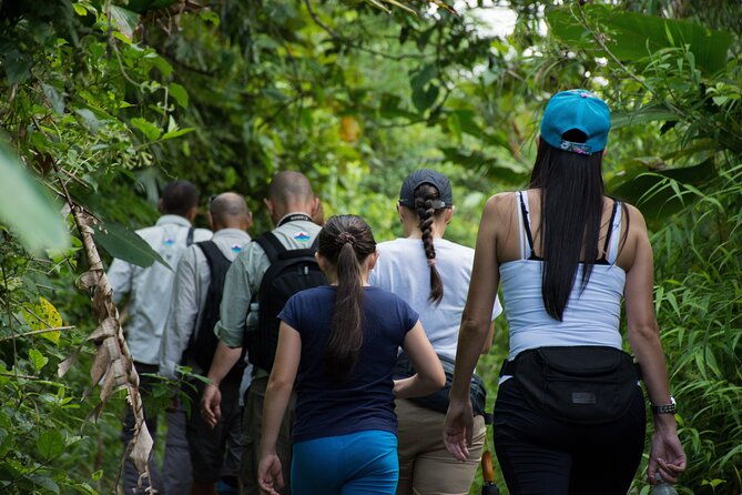 3-hour-arenal-lake-flexi-pass-adventure-in-costa-rica