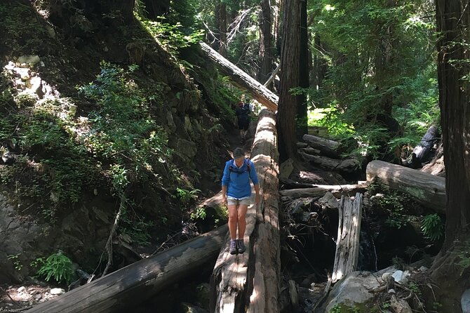 3-hour-kayaking-and-hiking-in-californias-central-coast