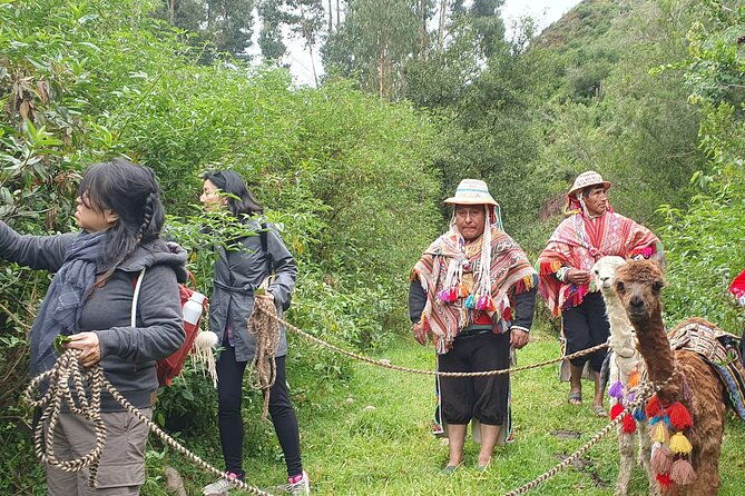 3-hour-small-group-hiking-with-alpaca-in-sacred-valley