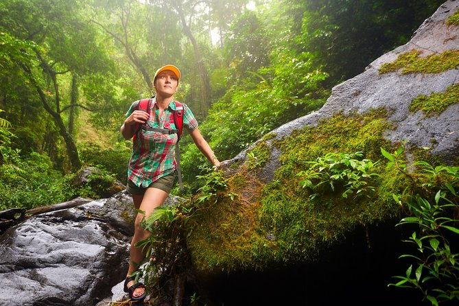 3-in-1-eco-tour-rain-forest-aerial-tram-river-cruise-nature-walk-private-tour