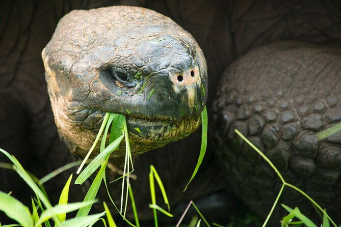 4-day-wildlife-tour-in-santa-cruz-island