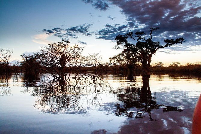 4-days-cuyabeno-amazon-experience