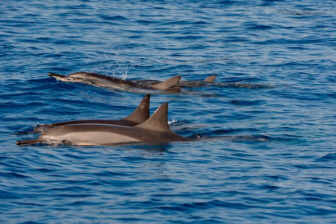 4-hour-kona-private-charter