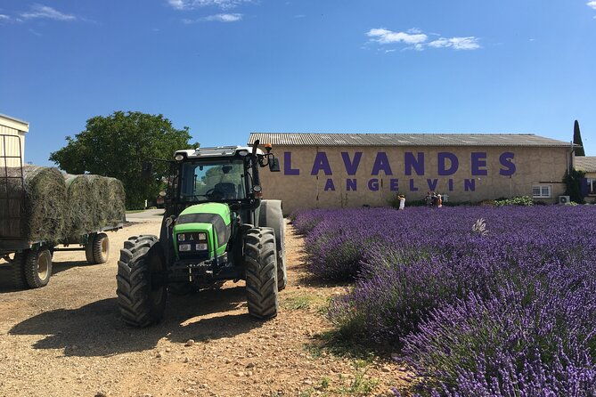 4-hour-lavender-fields-tour-in-valensole-from-aix-en-provence