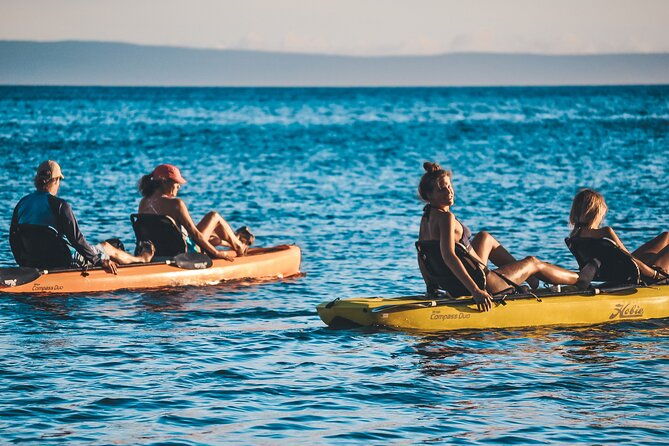 4-hour-private-custom-kayak-tour-lahaina