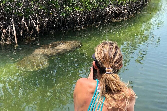 4-hour-private-ecotour-and-snorkeling-boat-tour