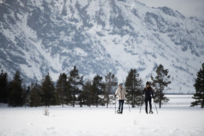 4-hour-snowshoe-in-grand-teton-national-park