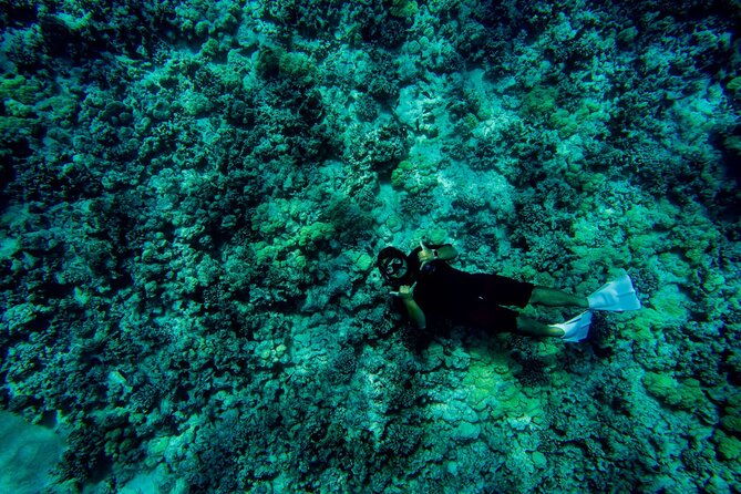 4-hour-super-raft-snorkeling-experience-in-kailua-kona