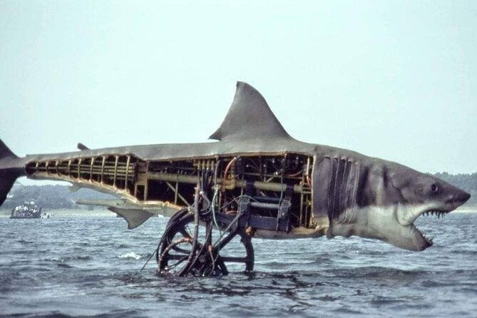 4-hours-hop-on-hop-off-jawsome-jaws-tour
