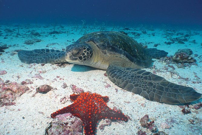 4-or-5-day-galapagos-islands-explorer-package-from-santa-cruz-island