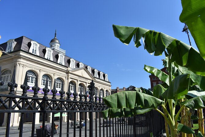 45-minutes-in-jackson-square