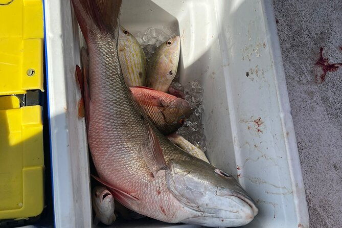 4hr-halfday-private-fishing-tour-in-gracebay