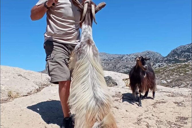 4x4-safari-tour-southern-crete-tripitis-gorge-4