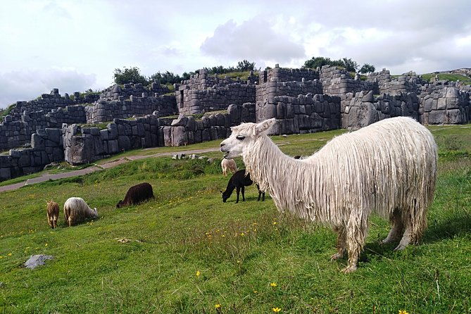 5-day-machu-picchu-private-guided-historical-and-cultural-tour
