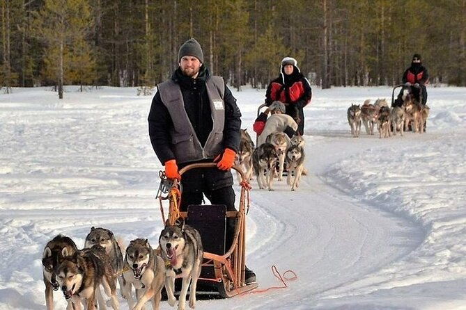 5km-husky-sled-ride-from-levi