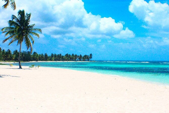 6-1-full-day-isla-saona-tour-and-snorkel-in-natural-pool-mangroves-punta-cana