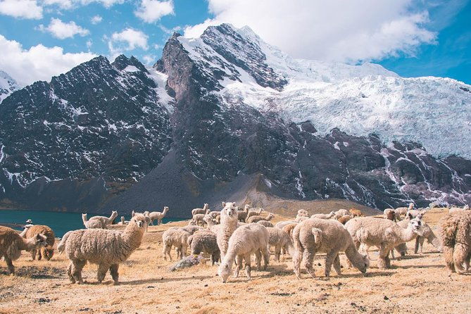 6-day-rainbow-mountain-x-ausangate-trek-flashpackerconnect