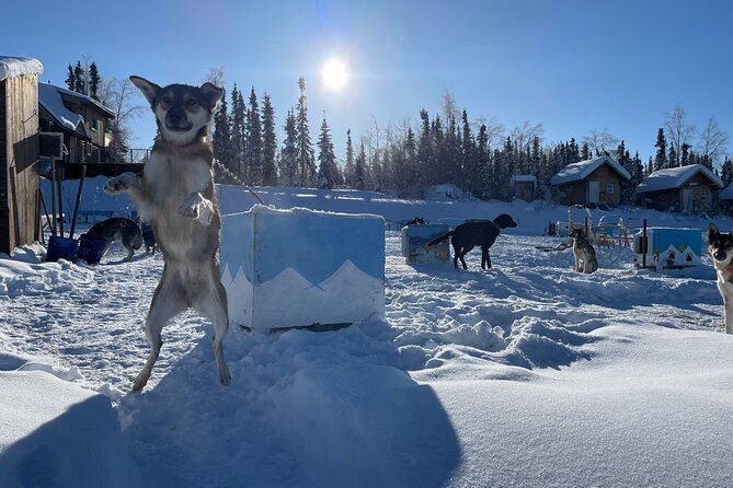 6-days-brooks-range-expedition-private-tour