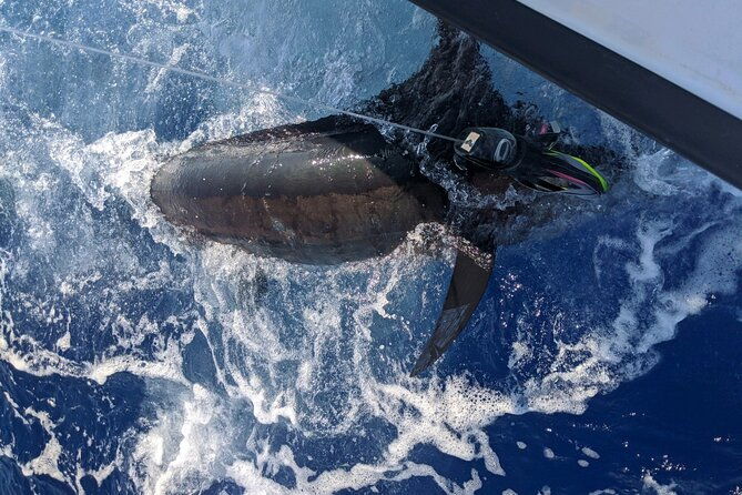 6-hour-private-fishing-charter-kona-hawaii-2