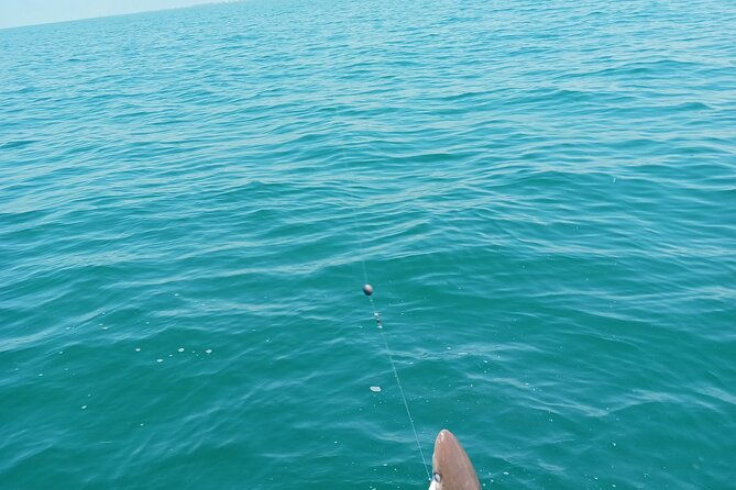6-hour-private-fishing-tour-in-sarasota-with-master-captain-bill