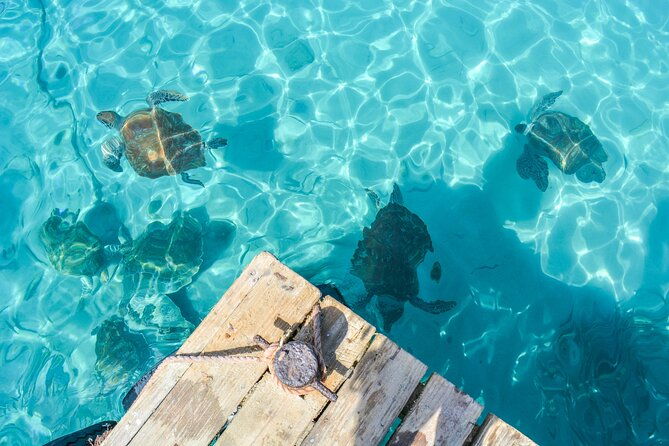6-hour-private-guided-tour-beyond-the-beaches-of-curacao