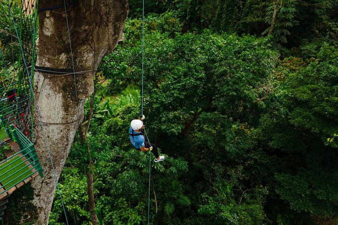 60m-tree-climbing-experience-with-descent-in-tarzan-or-rapel