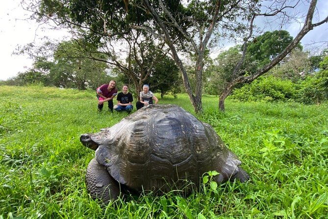 7-day-galapagos-island-hopping-tour-tortuga-bay-tintoreras-wildlife-watching
