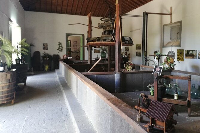 7-hours-private-tour-volcanoes-and-wine-region-in-the-canary-islands