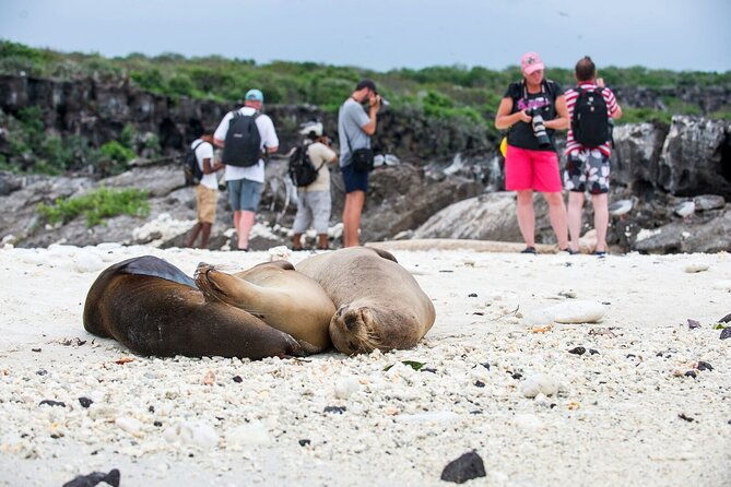 8-day-galapagos-island-hopping-tour-isabela-giant-tortoises-and-snorkeling