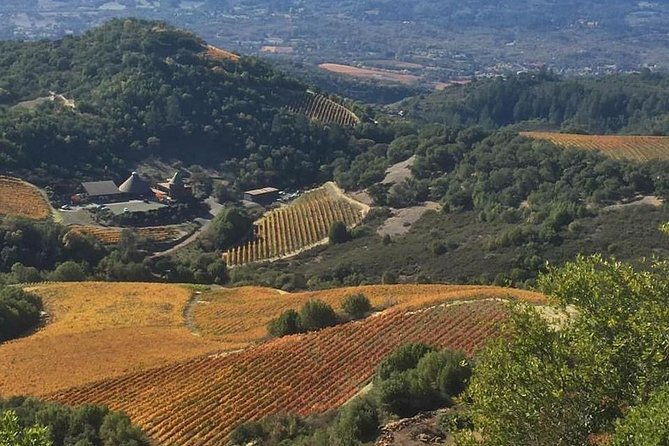 8-hour-private-wine-tour-experience-for-up-to-6-guests-san-francisco-to-sonoma