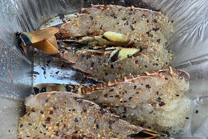 8hr-catch-and-grill-in-turks-and-caicos-islands