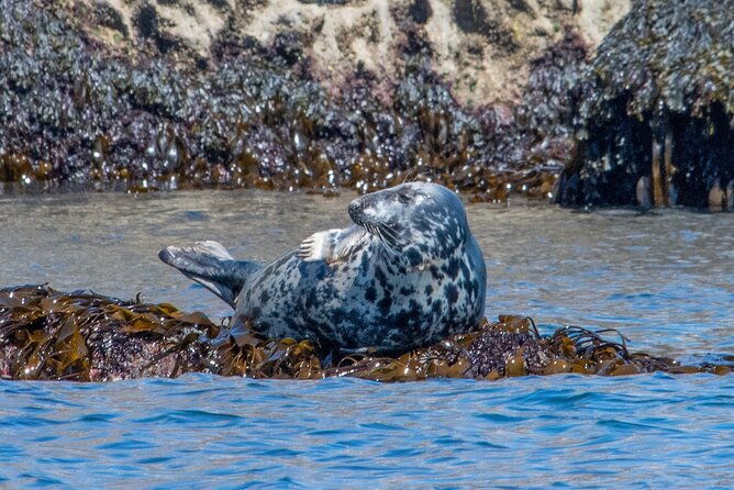 90-minute-coastal-explorer-in-torquay