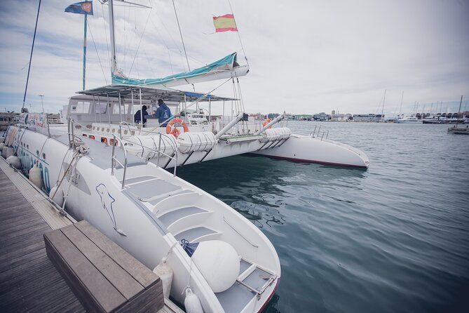 a-day-at-sea-aboard-mundo-marino-catamaran-in-valencia