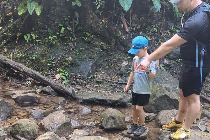 a-day-of-relaxation-in-the-jungle-and-waterfalls-of-dominica