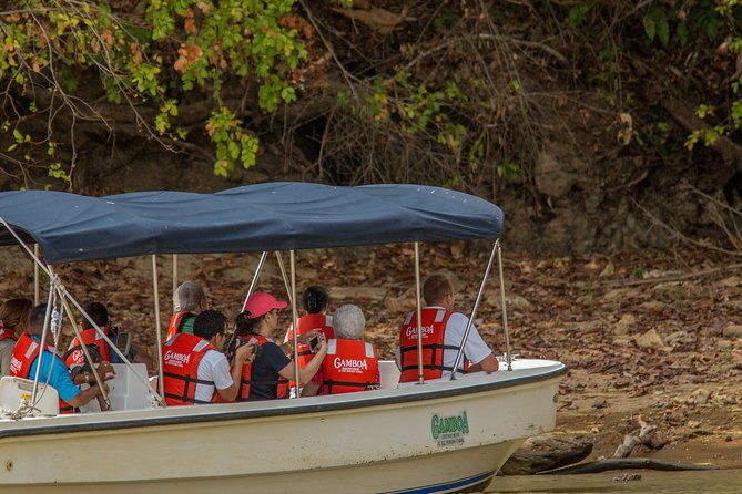 a-day-with-nature-boat-trip-on-gatun-lake-and-the-aerial-tram