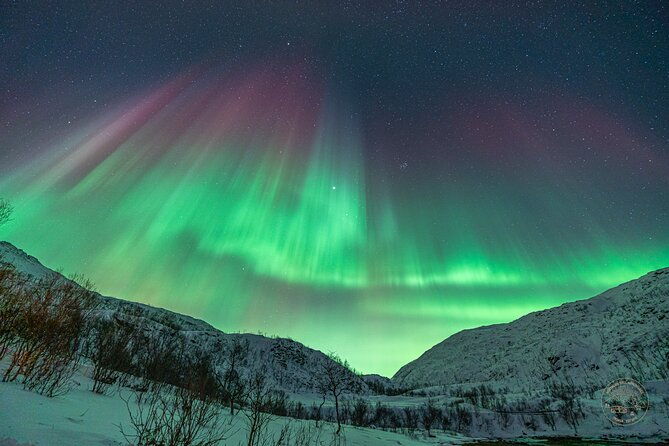 a-journey-in-search-of-the-northern-lights-private