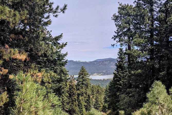a-locals-favorite-hike-in-big-bear-with-lake-swimming-experience