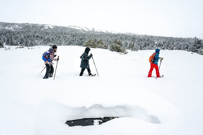 advanced-snowshoeing-adventure