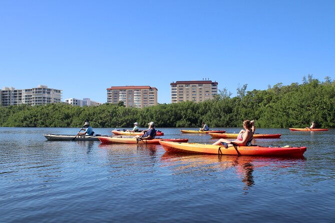 adventure-and-wildlife-watch-kayak-rentals-in-sarasota