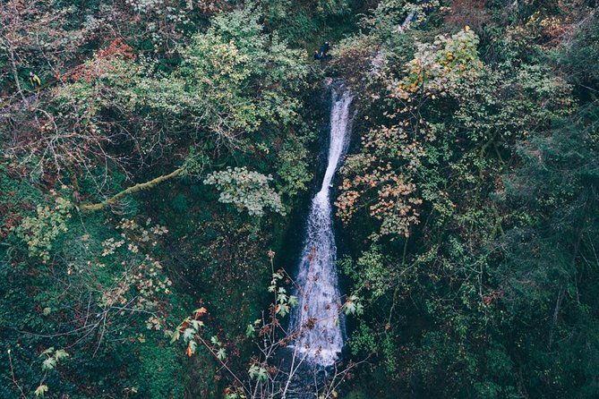afternoon-multnomah-falls-and-gorge-waterfalls-tour
