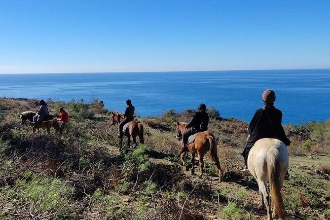 alanya-horseback-riding-in-the-taurus-mountains-with-transfer