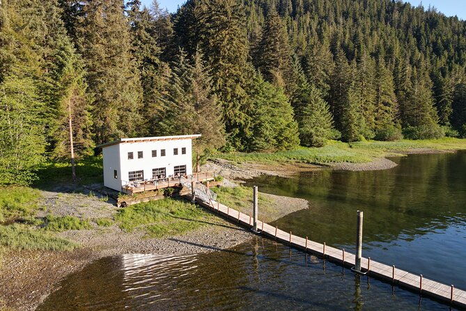 alaska-bears-and-silver-bay-homestead