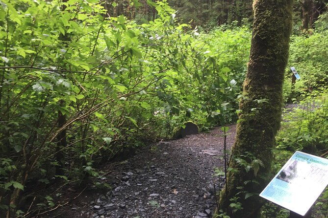 alaska-bigfoot-adventures-2