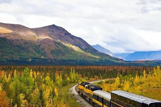 alaska-railroad-fairbanks-to-denali-one-way-2