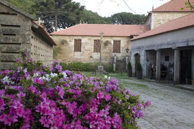 albarino-private-wine-tour-in-rias-baixas
