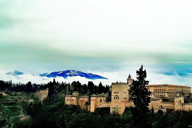 alhambra-private-tour-with-tickets-to-the-nasrid-palaces