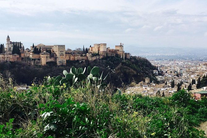 alhambra-private-tour-without-tickets-total-group-max-15-people-4