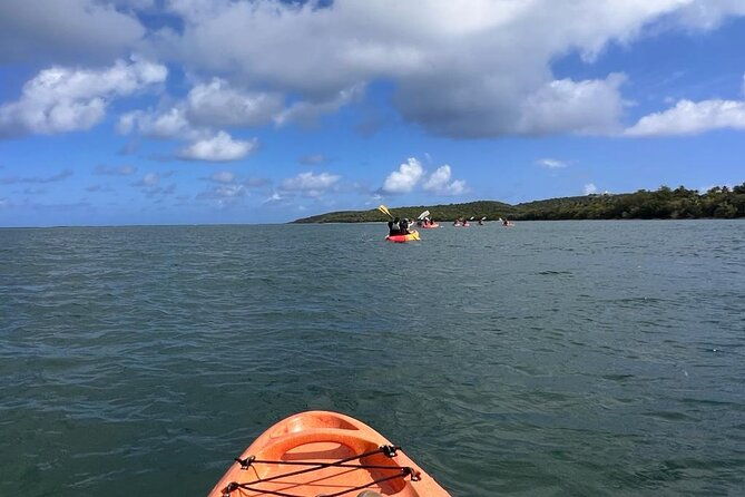 all-day-kayak-rental-in-puerto-rico