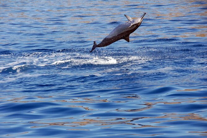 all-inclusive-sunset-dolphin-watch-and-snorkeling-cruise