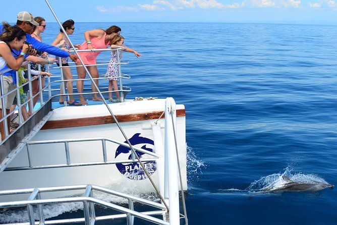 all-inclusive-zip-line-catamaran-eco-adventure
